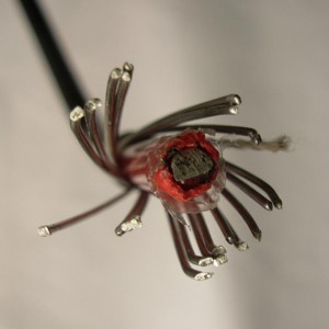 Электрический Сплит Концентрический Кабель Одножильный 8 / 2AWG, Xlpe Underground Cable